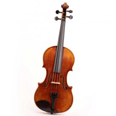 Violine Nr. 860 